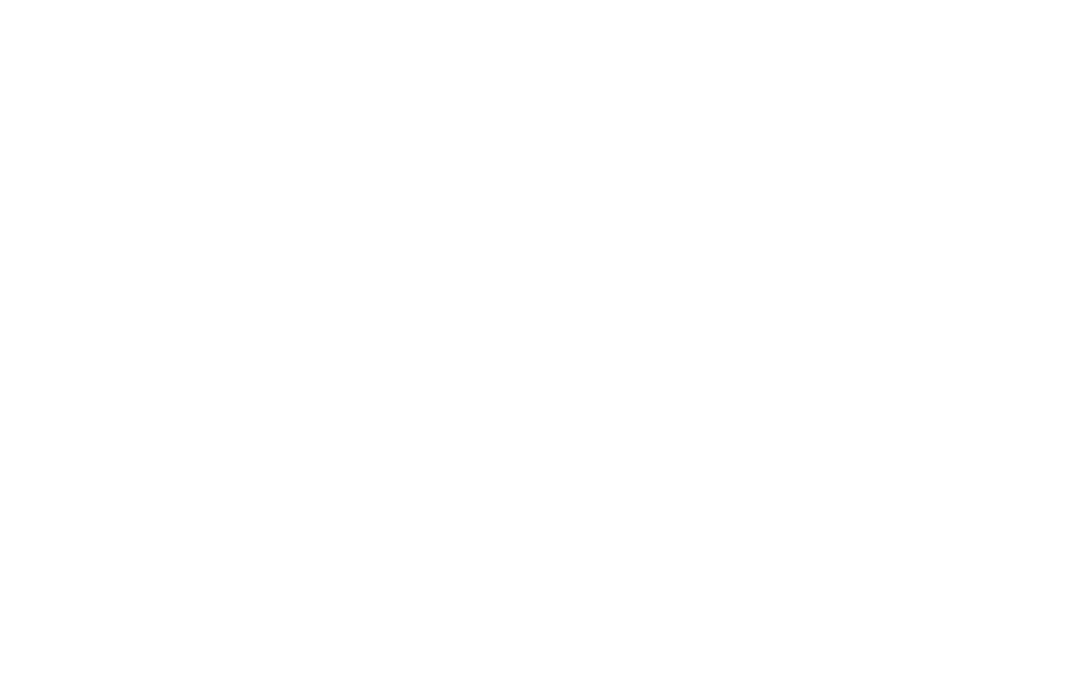 sfl africa logo