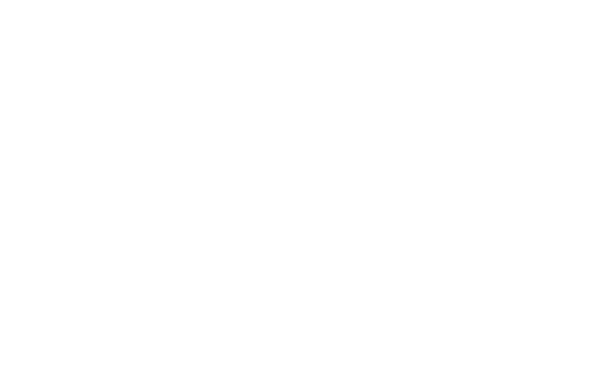 sfl charter teams logo
