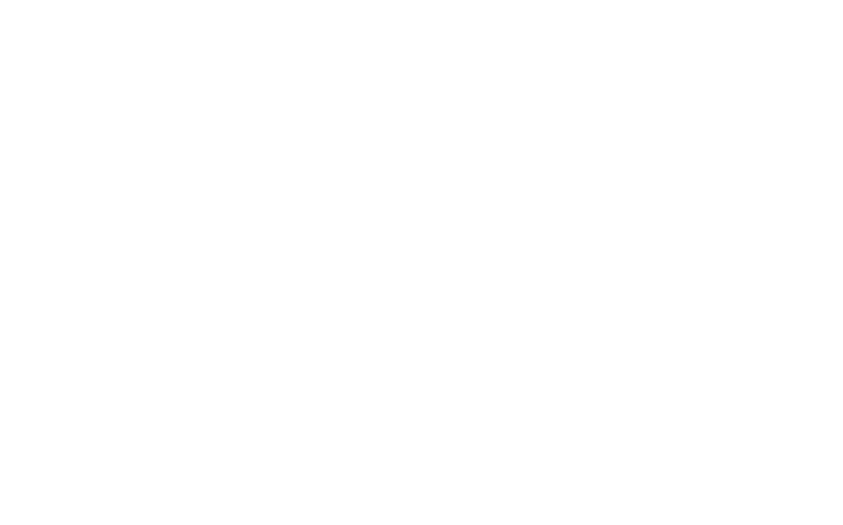 sfl europe logo
