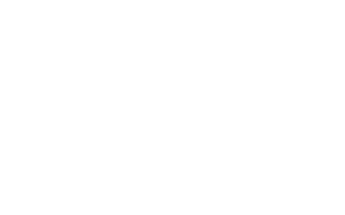 sfl south asia logo