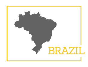 BRAZIL-HOVER